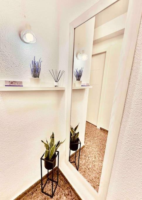 Citadella Apartment Sagunto 외부 사진