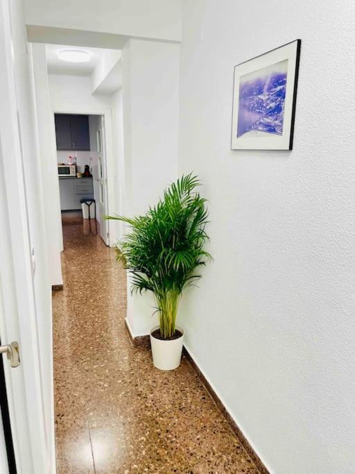 Citadella Apartment Sagunto 외부 사진